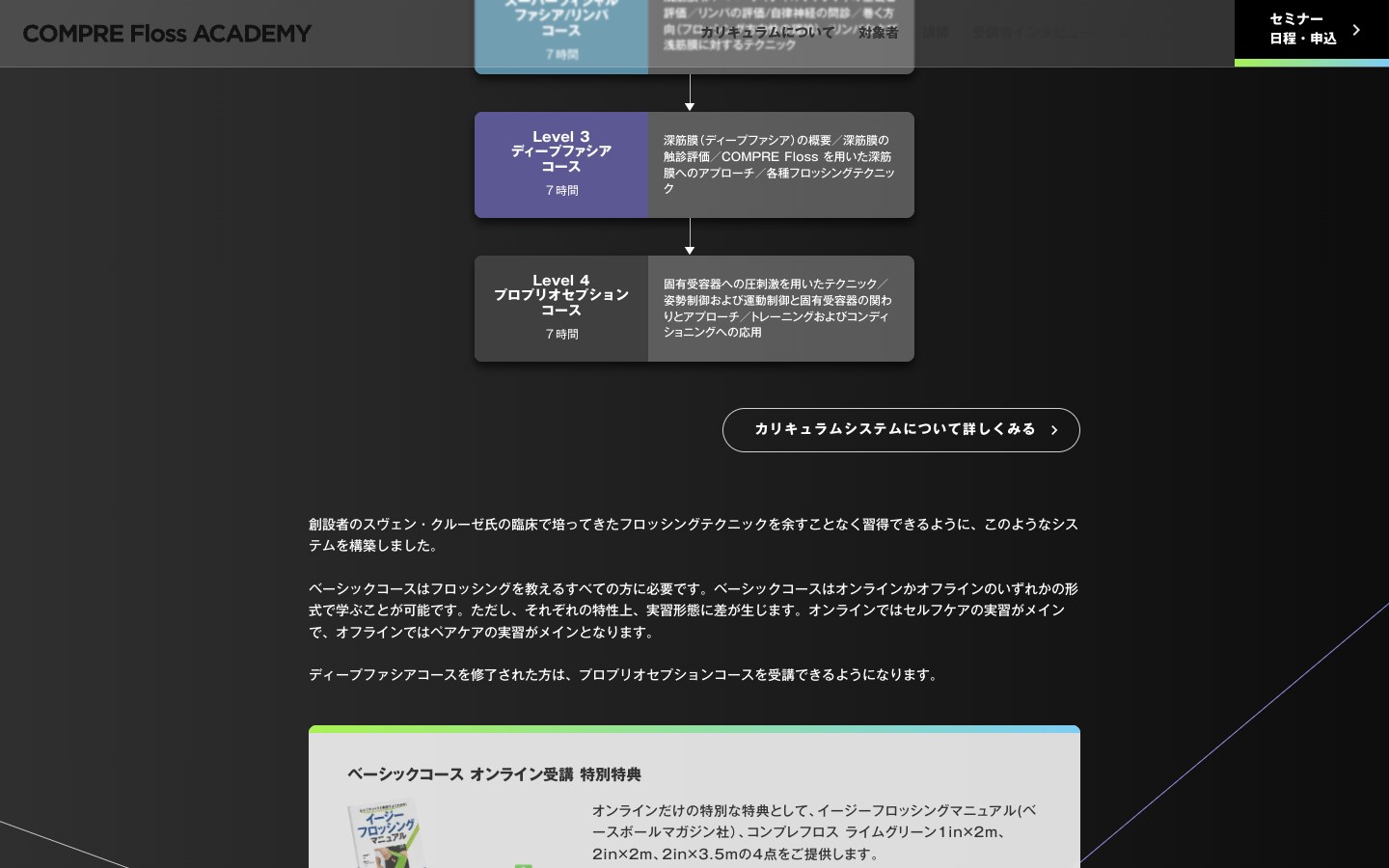 レベル制カリキュラムの説明セクション